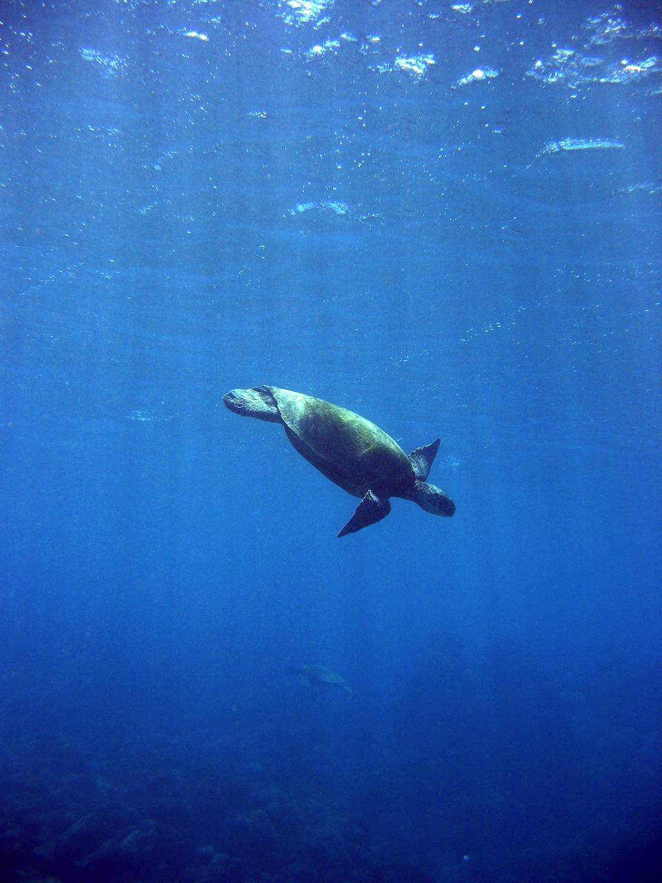 Underwater